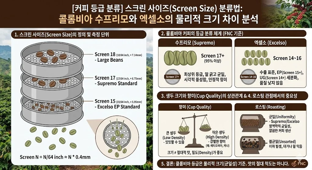 커피 등급에서 스크린 사이즈(Screen Size) 분류법과 콜롬비아 수프리모와 엑셀소의 물리적 크기 차이를 설명