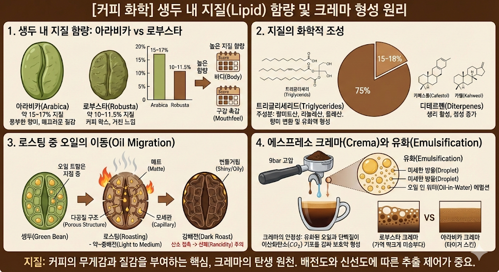 생체막 및 유화 과정 설명