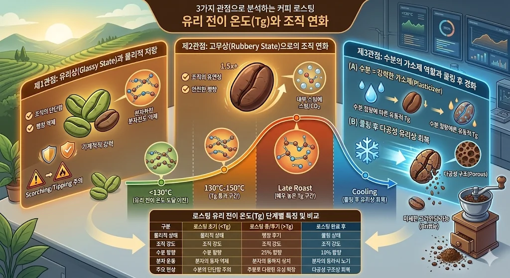 3가지 관점으로 분석하는 커피 로스팅 : 유리 전이 온도(Tg)와 조직 연화