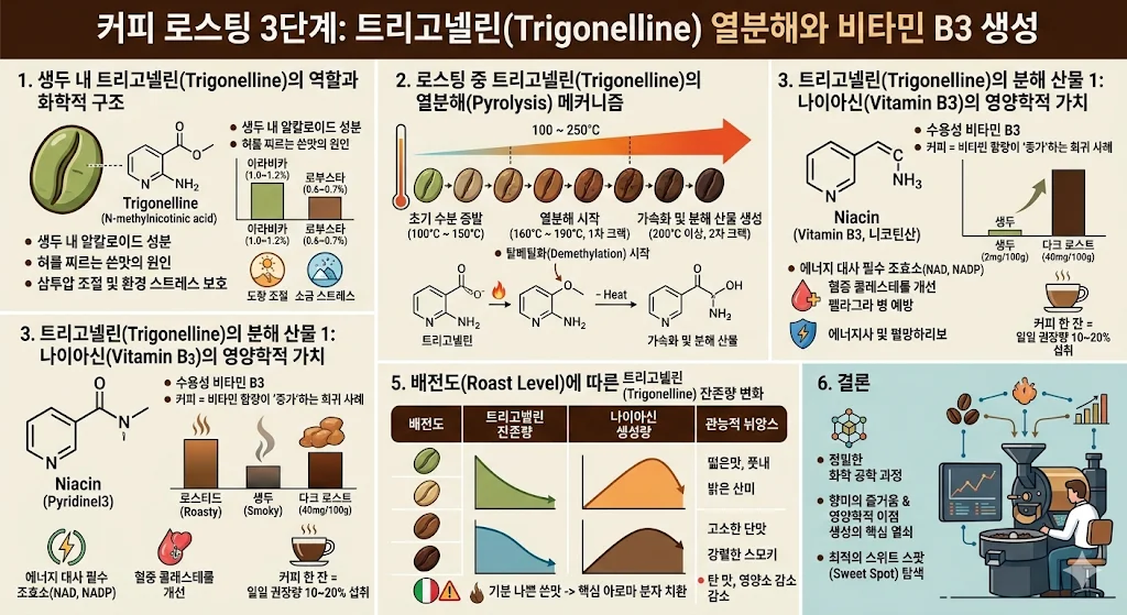 커피 로스팅 3단계 : 트리고넬린 열분해와 비타민 B3 생성을 설명