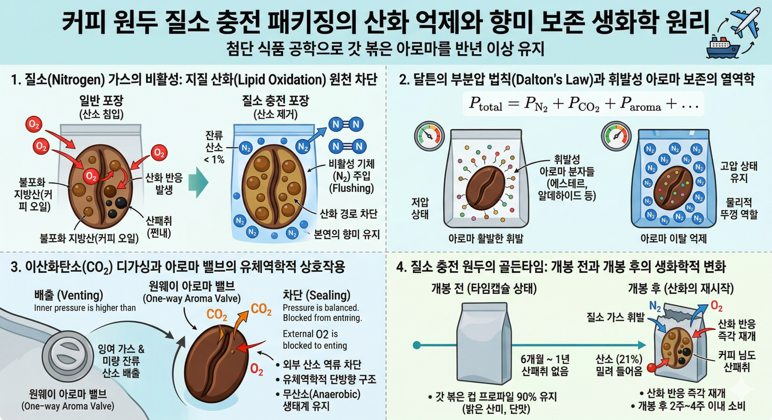 질소 충전 패키징, 원두 신선도 유지하는 생화학 원리 완벽 분석