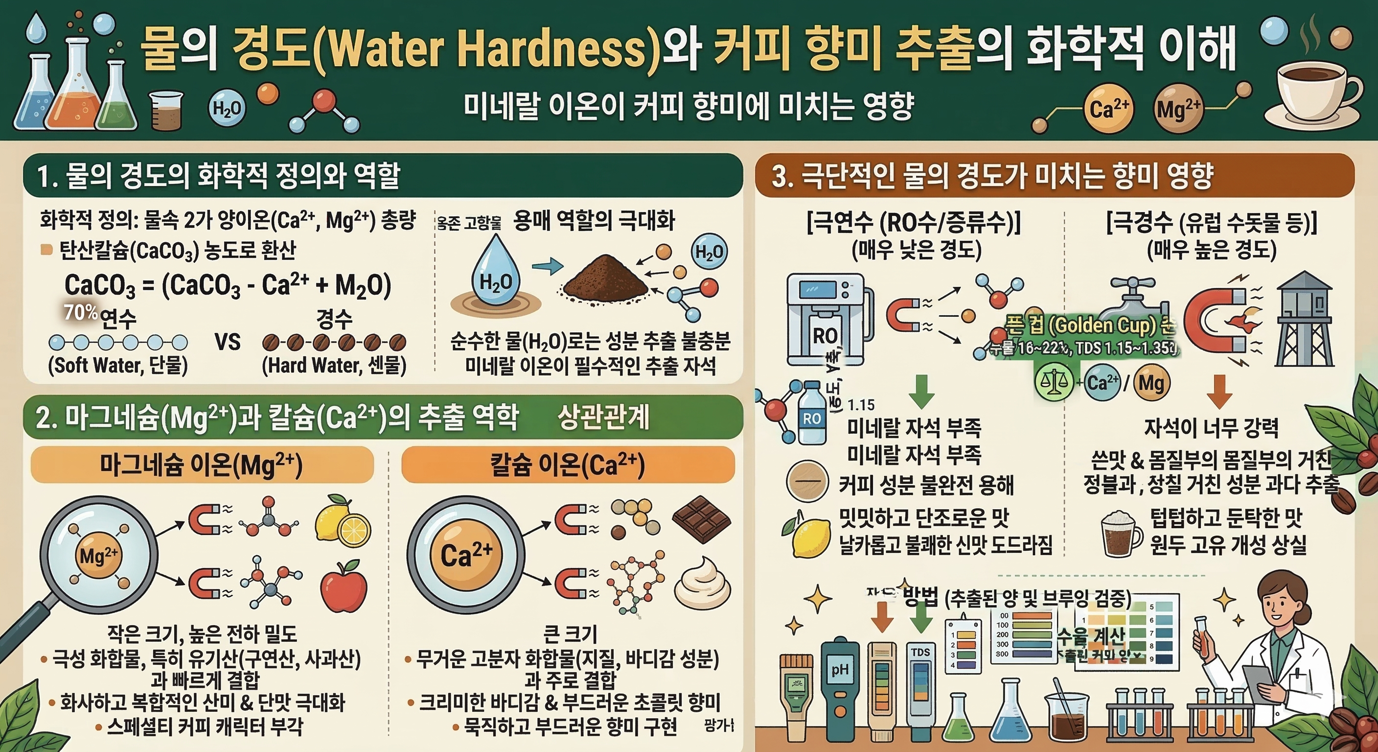 물의 경도와 커피 향미 추출의 화학적 이해