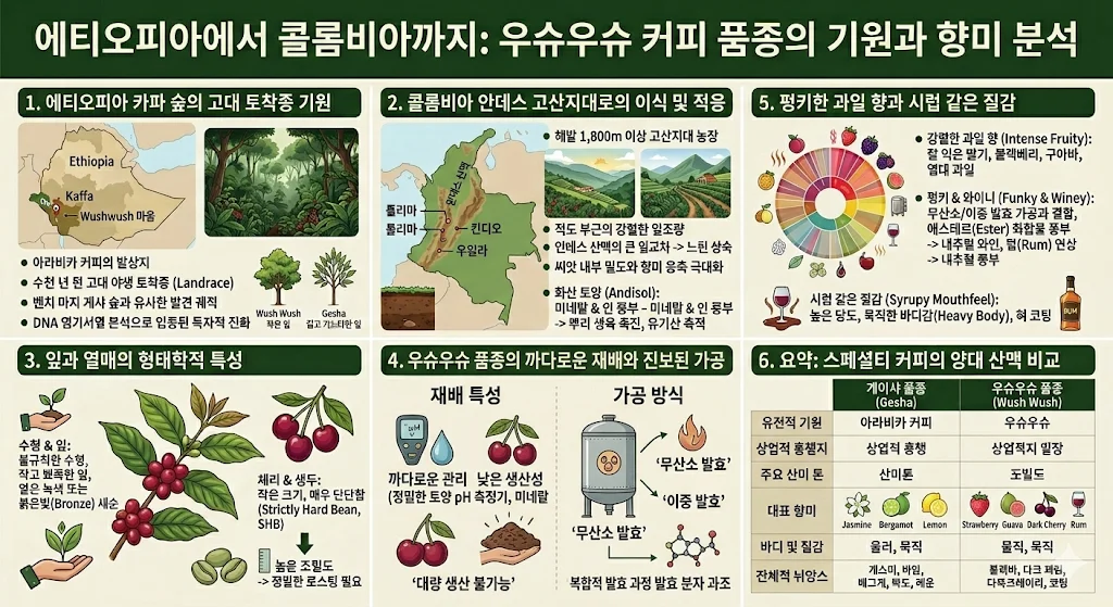 에티오피아에서 콜롬비아까지 : 2대륙의 테르루아로 분석하는 우슈우슈 품종의 기원과 향미 특징