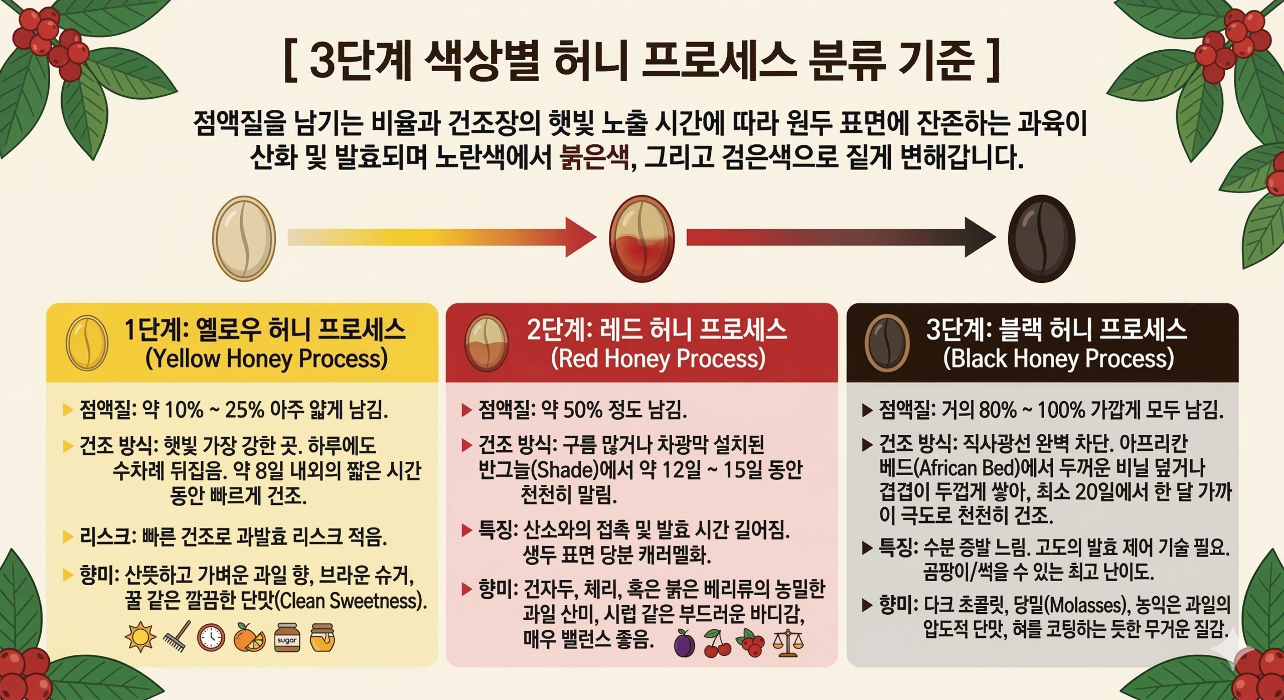 3단계 점액질을 남기는 비율과 건조장의 햇빛 노출 시간에 따라 원두 표면에 잔존하는 과육이 산화 및 발효되며 노란색에서 붉은색, 그리고 검은색으로 짙게 변해갑니다.