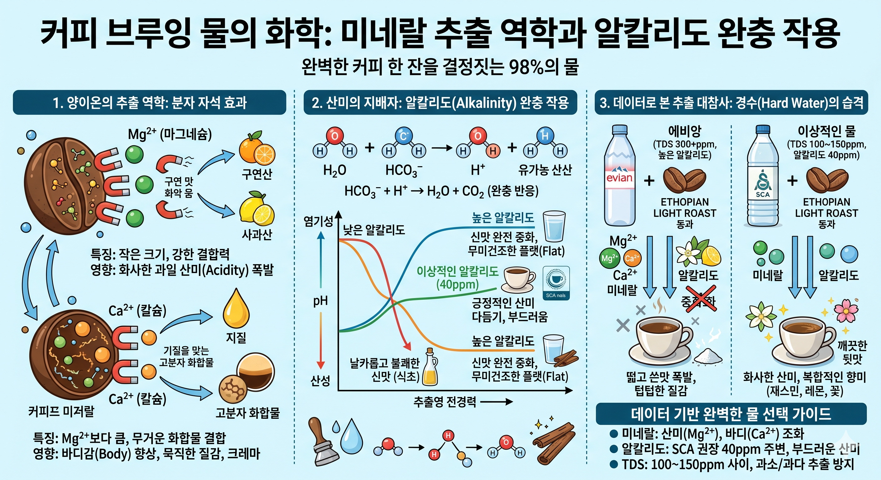 브루잉 물의 화학: 미네랄 추출 역학과 알칼리도(Alkalinity)의 산미 완충 작용