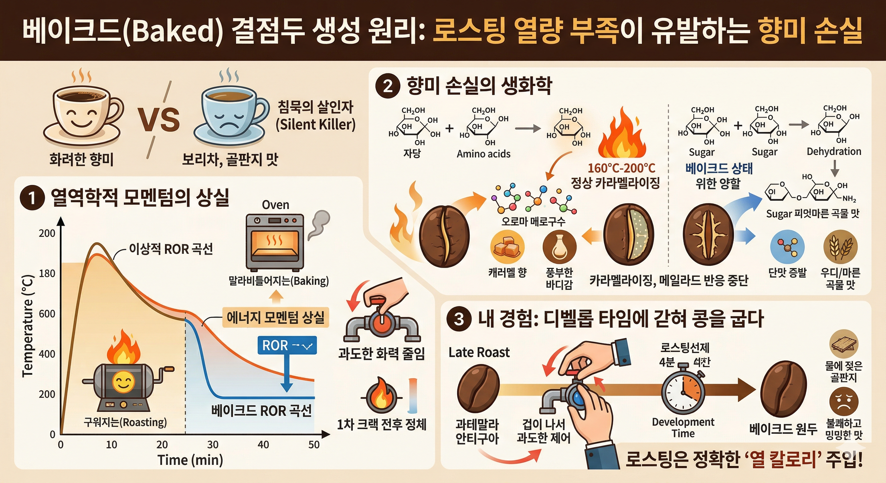 베이크드(Baked) 결점두 생성 원리: 로스팅 열량 부족이 유발하는 향미 손실