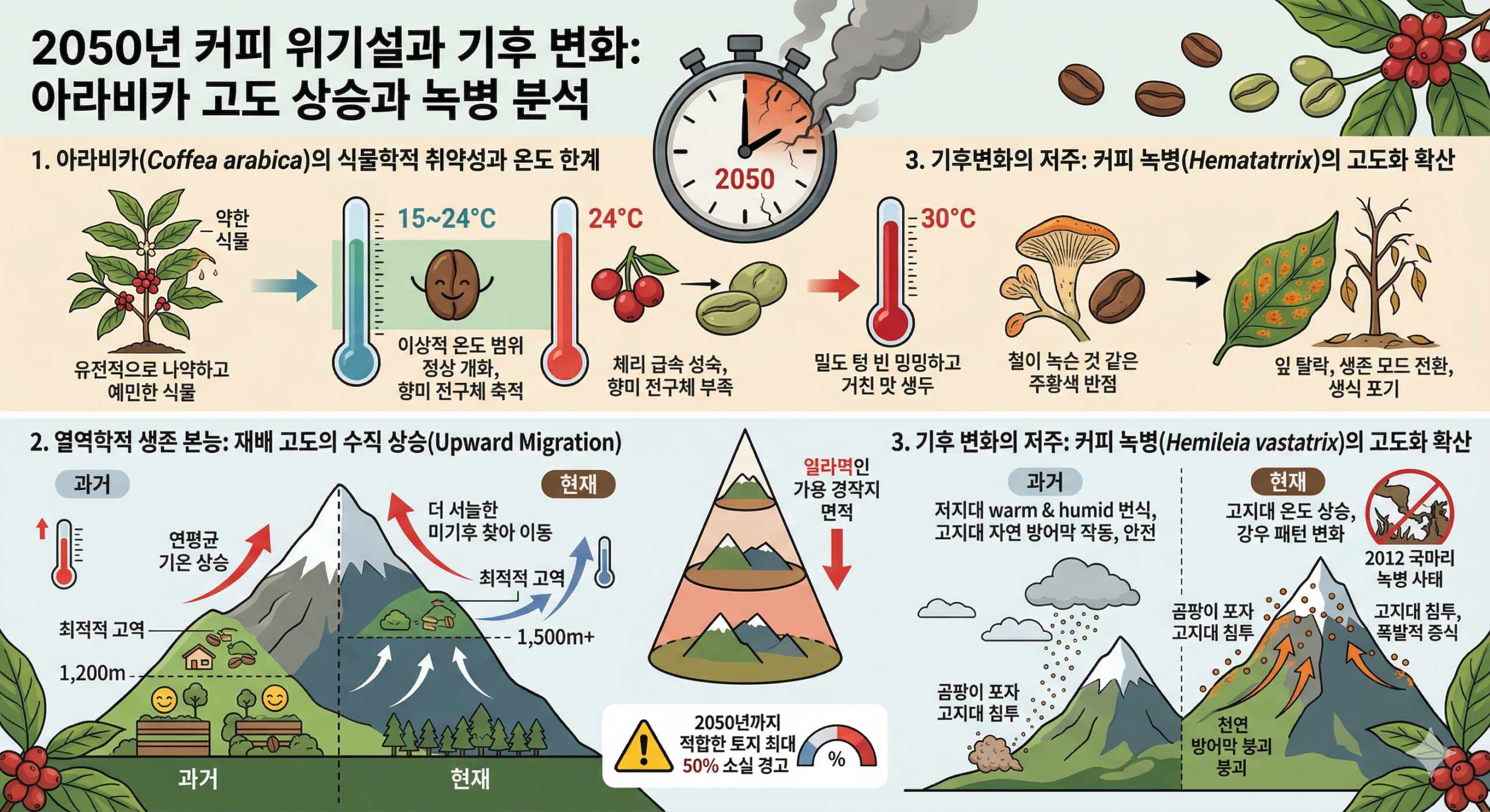 2050년 커피 위기설과 기후 변화: 아라비카 고도 상승과 녹병 분석