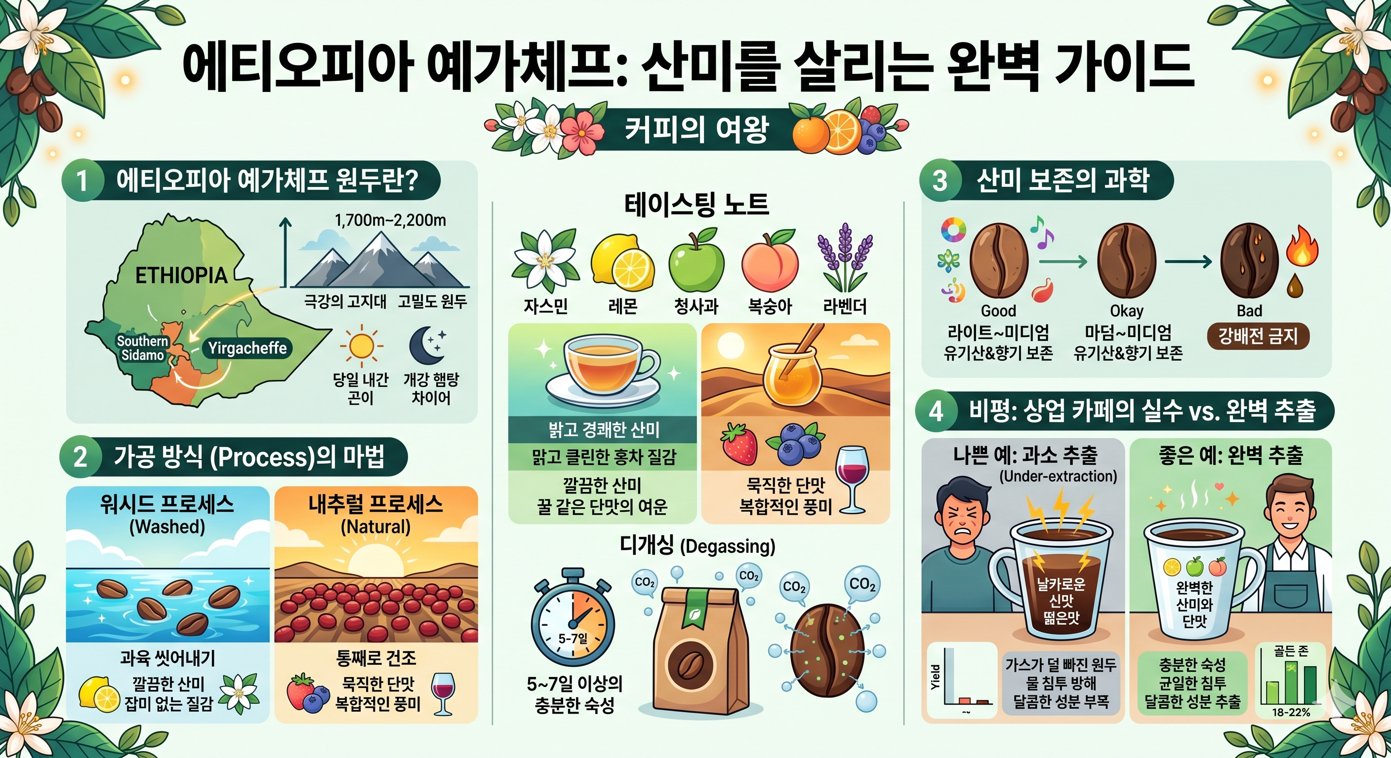 에티오피아 예가체프 원두의 특징과 산미를 살리는 완벽 추출 가이드